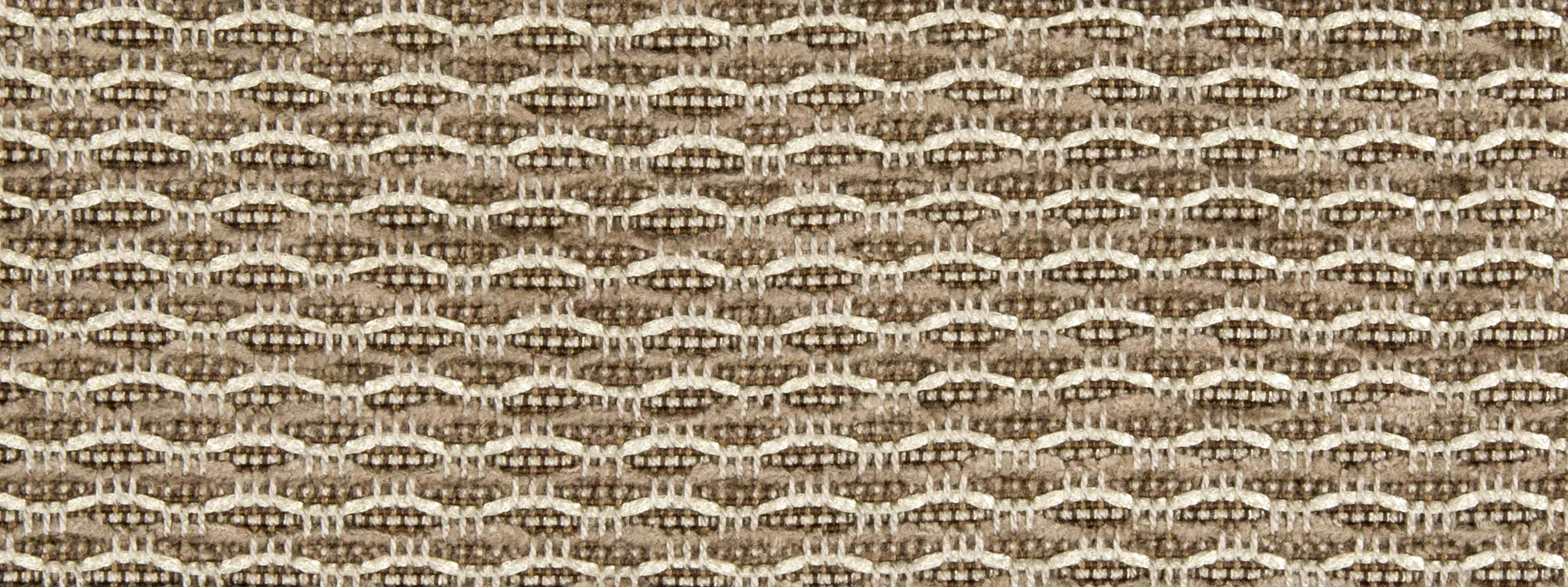 Beacon Hill Wild Side | TaupeUpholstery - 241603