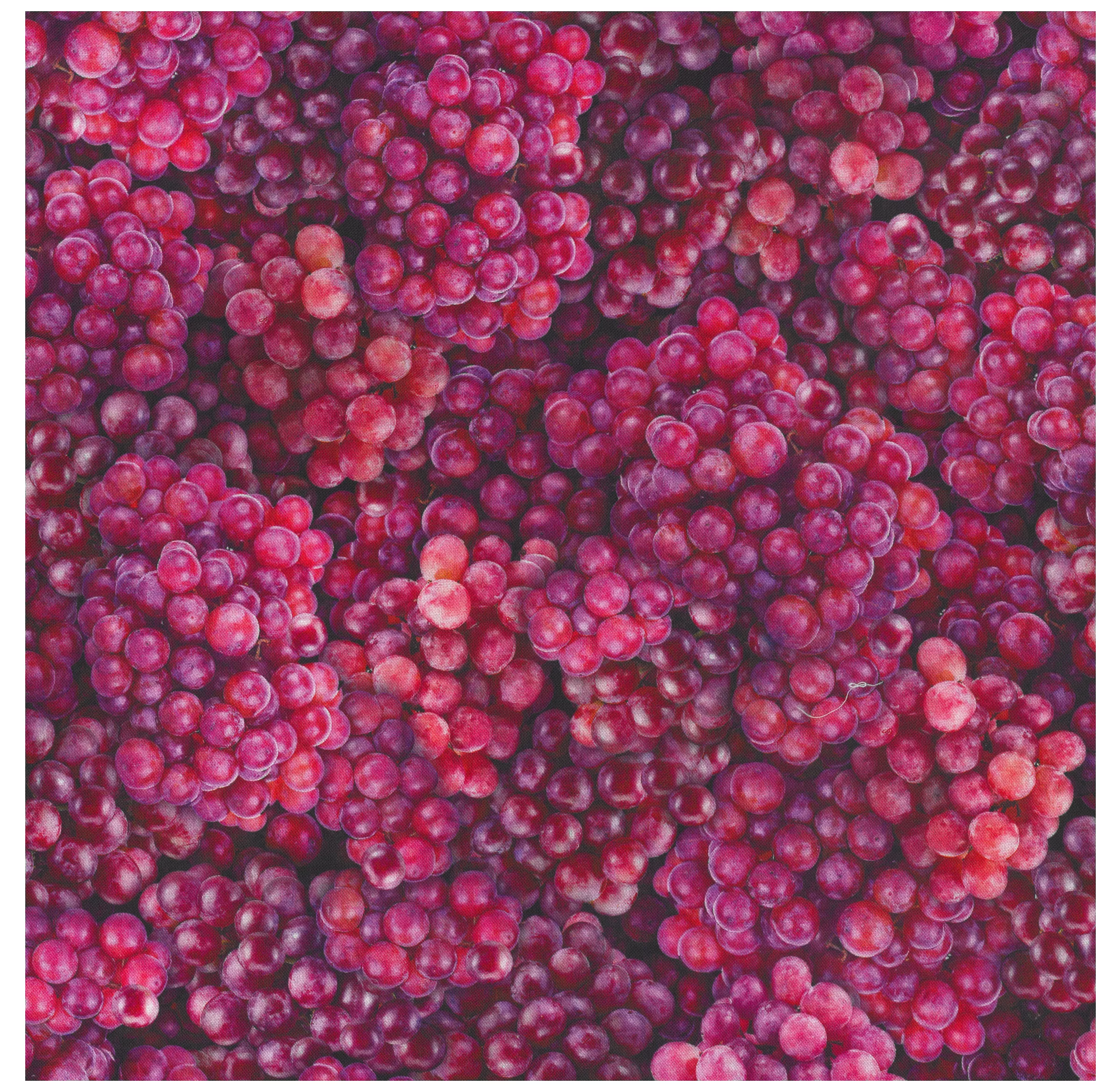 Fabric – Fresh – Grapes – D – Dan Morris